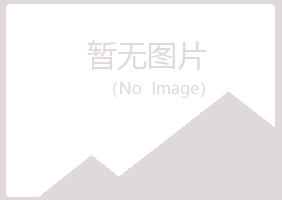 上海紫山会计有限公司